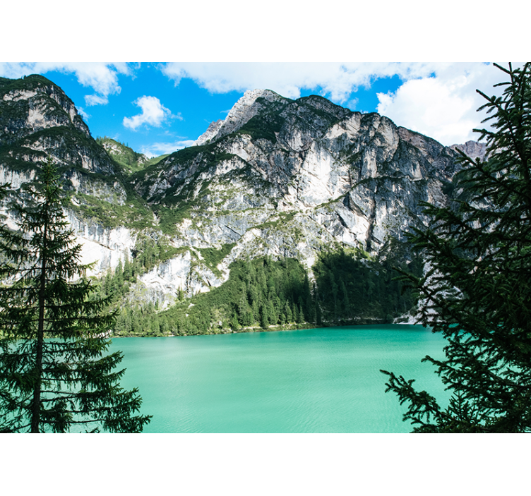 风景墙壁画壮丽山脉全景 - TenStickers