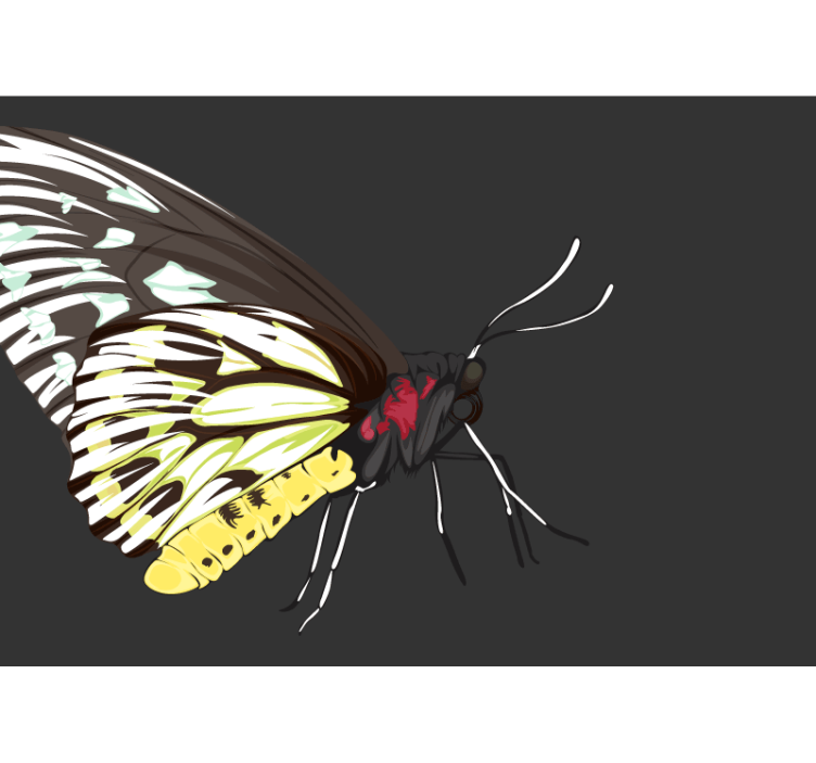 其他墙体壁画黄色蝴蝶设计 - TenStickers