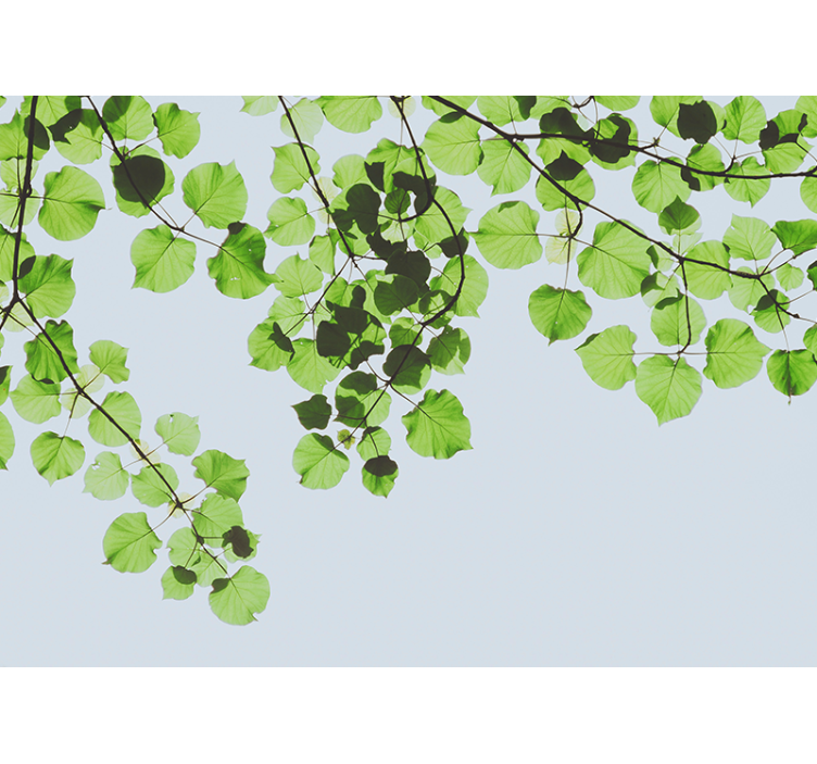 树木墙壁画树叶枝条天篷 - TenStickers