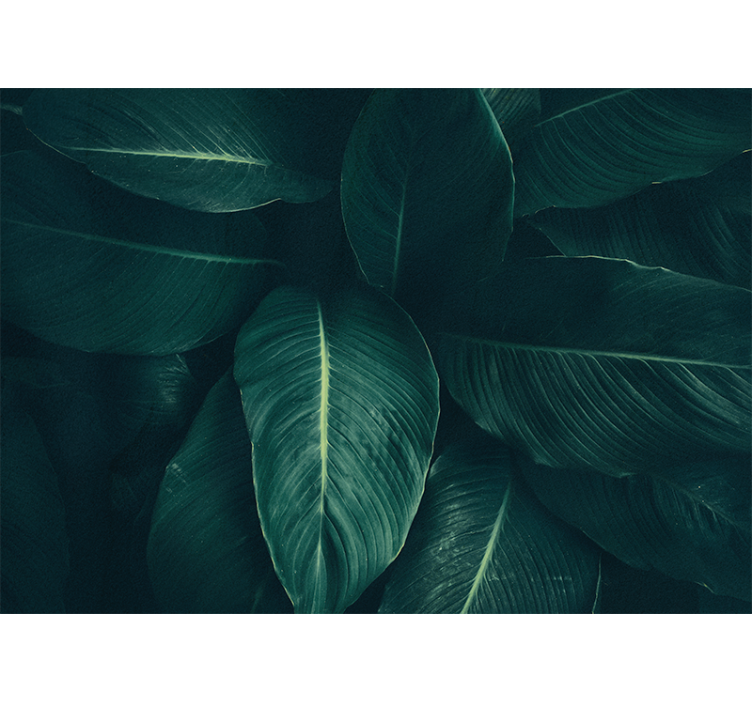 壁画质地展现丰盛叶片质感 - TenStickers