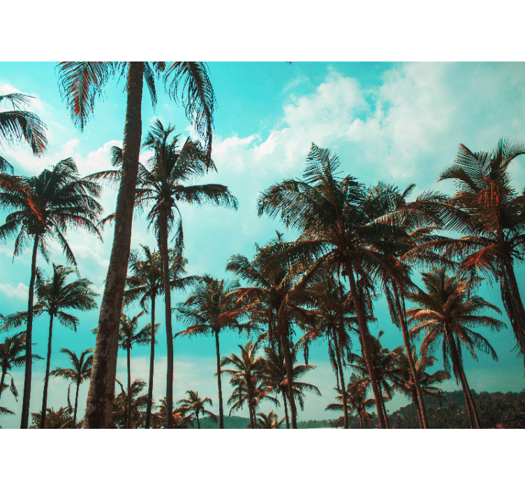 壁画质地带你进入棕榈树的天堂 - TenStickers