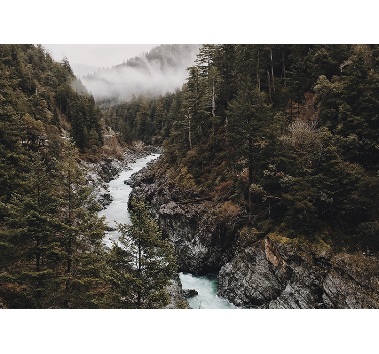 壁画质地展现壮丽河流风景 - TenStickers