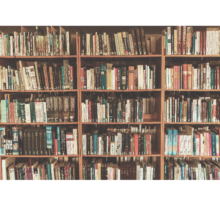 模糊书架旧书办公室墙壁画 - TenStickers