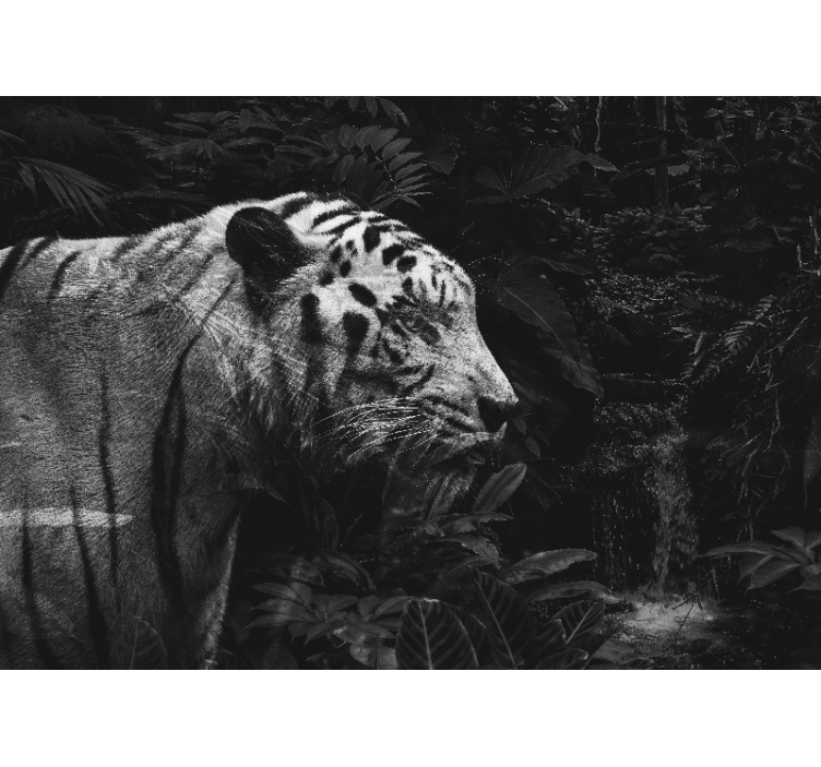 动物墙壁画展现威严的白虎 - TenStickers