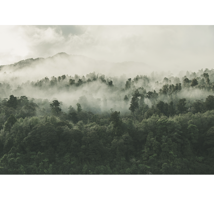 森林墙壁画：上方雾中的森林 - TenStickers