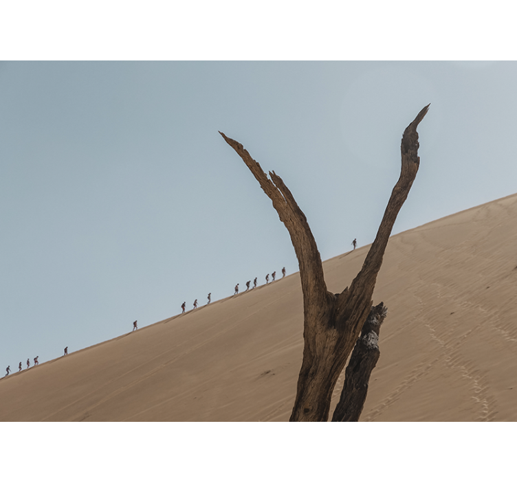 沙漠墙壁画，沙丘徒步者剪影 - TenStickers