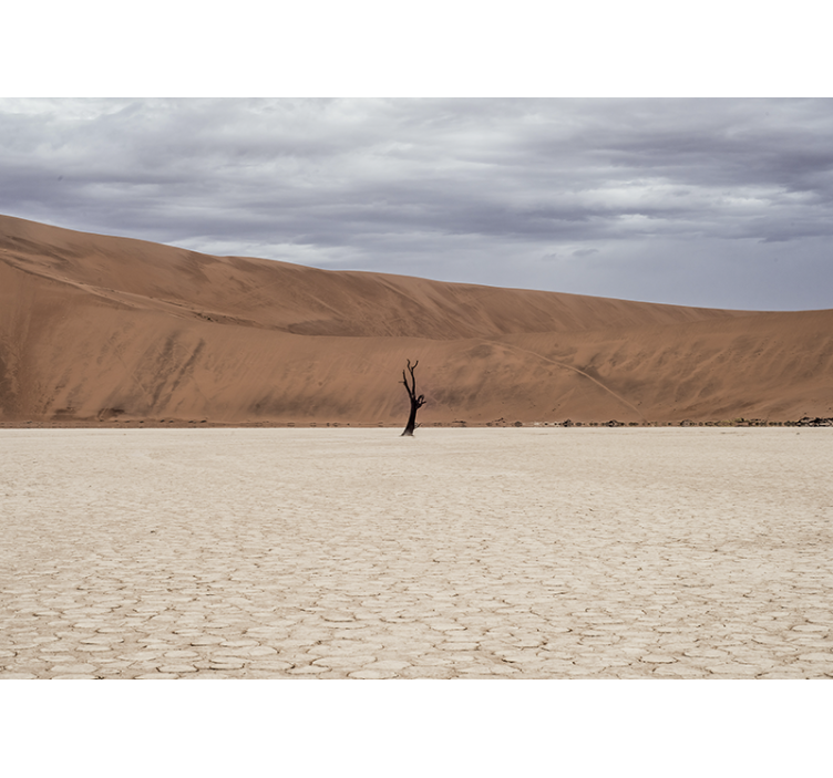 山墙壁画沙漠风景展望 - TenStickers