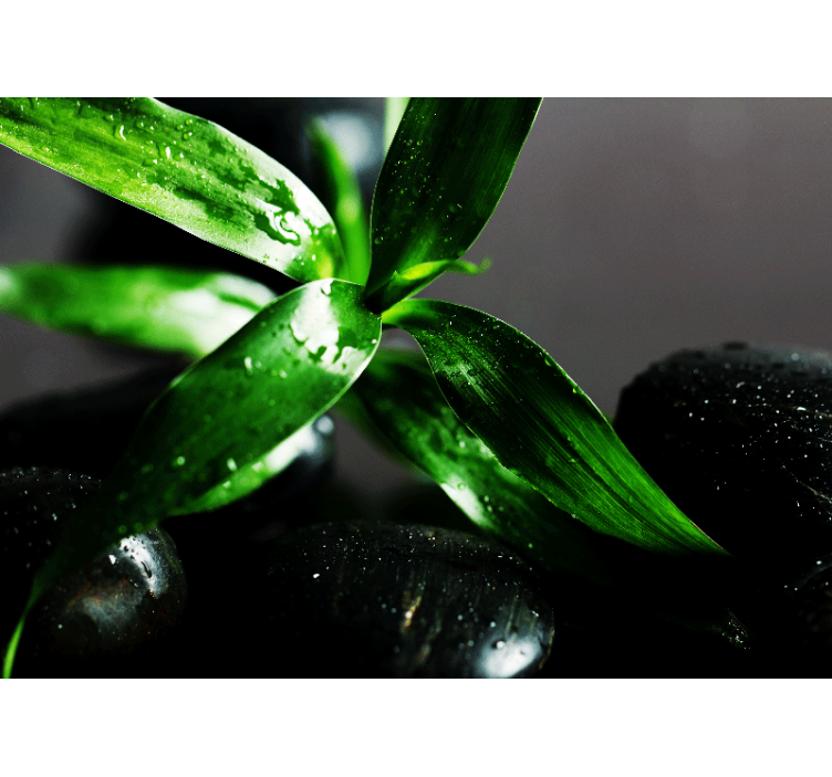 壁画质地新鲜叶子质感 - TenStickers