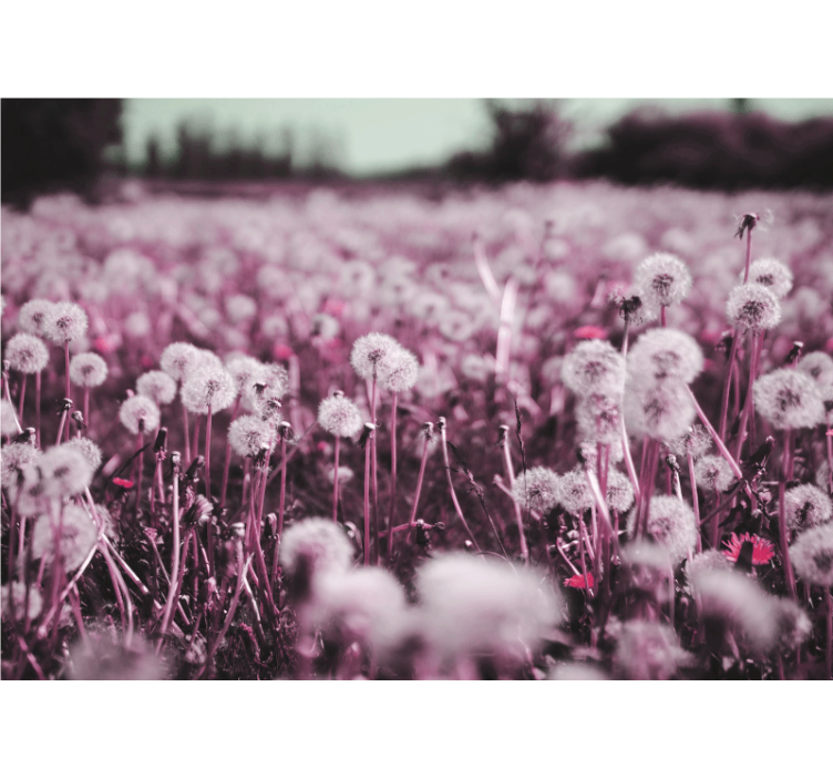 蒲公英壁画紫色田野场景 - TenStickers