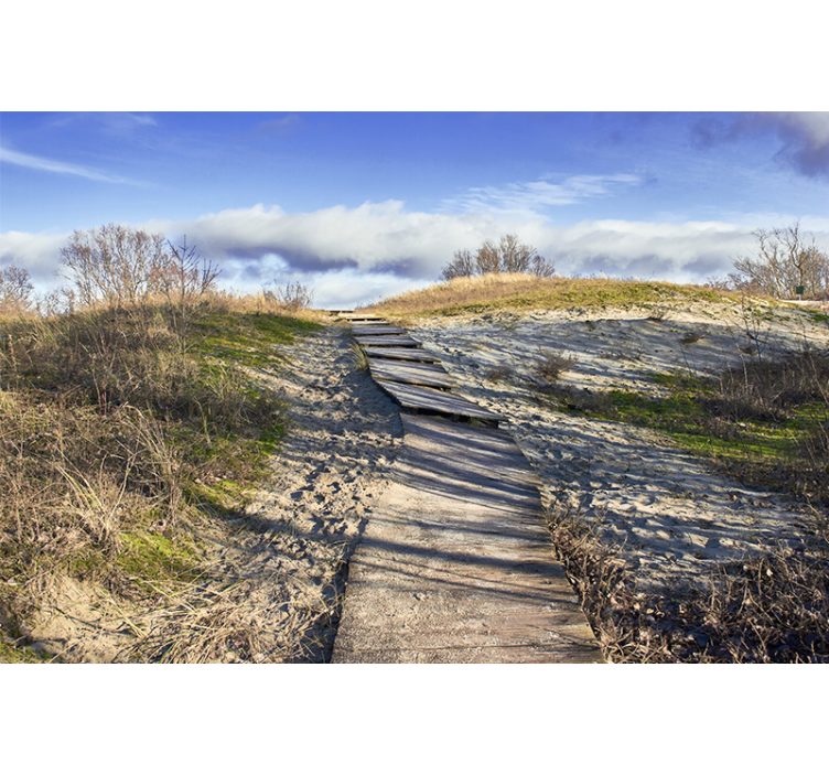 风景墙壁画木栈道风景 - TenStickers