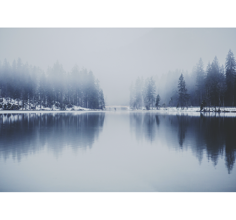 壁画质地呈现宁静湖畔风光 - TenStickers