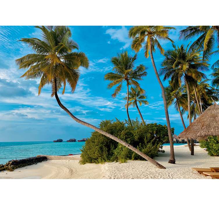 壁画质地热带棕榈风景 - TenStickers