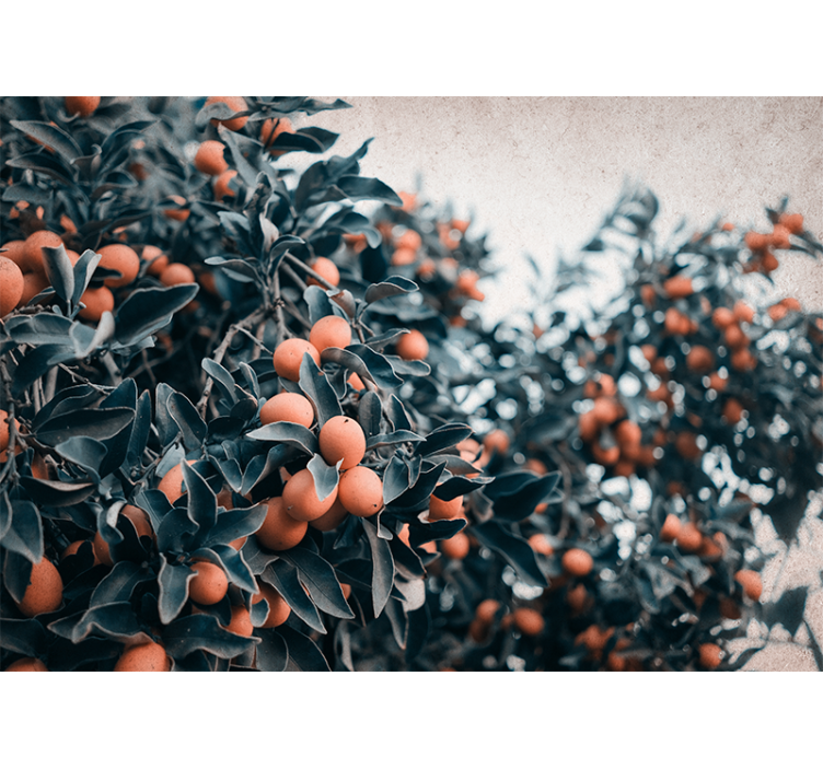 花墙壁画柑橘水果枝 - TenStickers