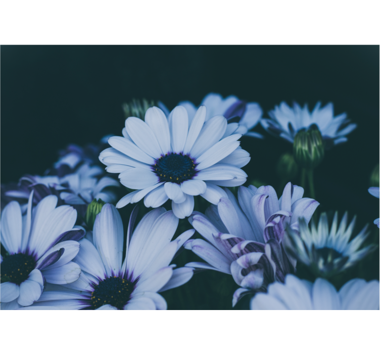 花墙壁画宁静花卉布置 - TenStickers