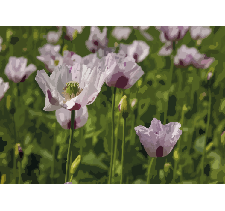 罂粟墙壁画展现花卉优雅 - TenStickers