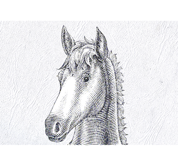 动物墙壁画优雅马匹肖像 - TenStickers