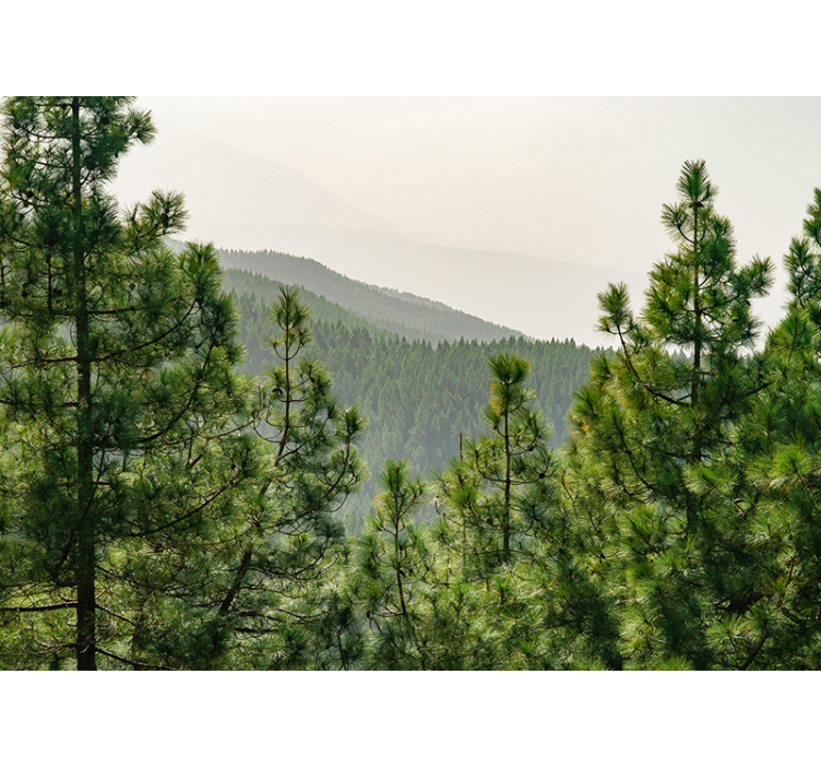 壁画质地展现郁郁葱葱的绿色风景 - TenStickers