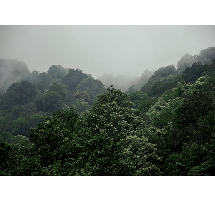 森林墙壁画雾霭景观 - TenStickers