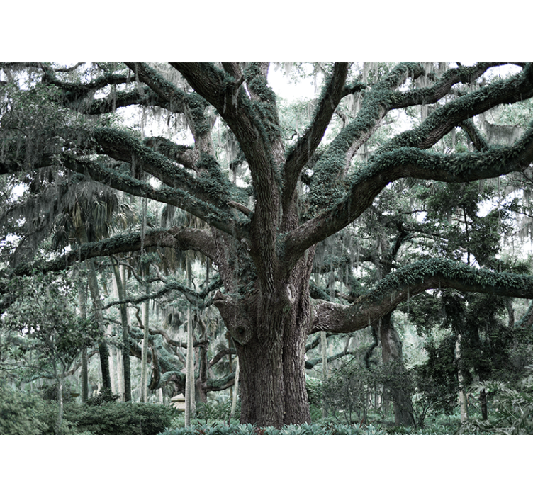 树木墙壁画展现壮丽橡树枝条 - TenStickers