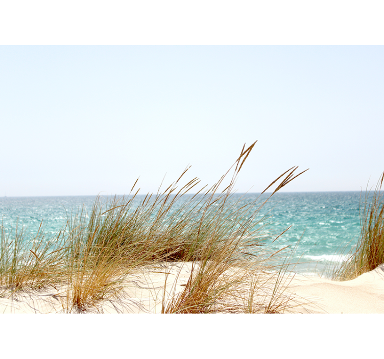 壁画质地展现宁静海岸风景 - TenStickers