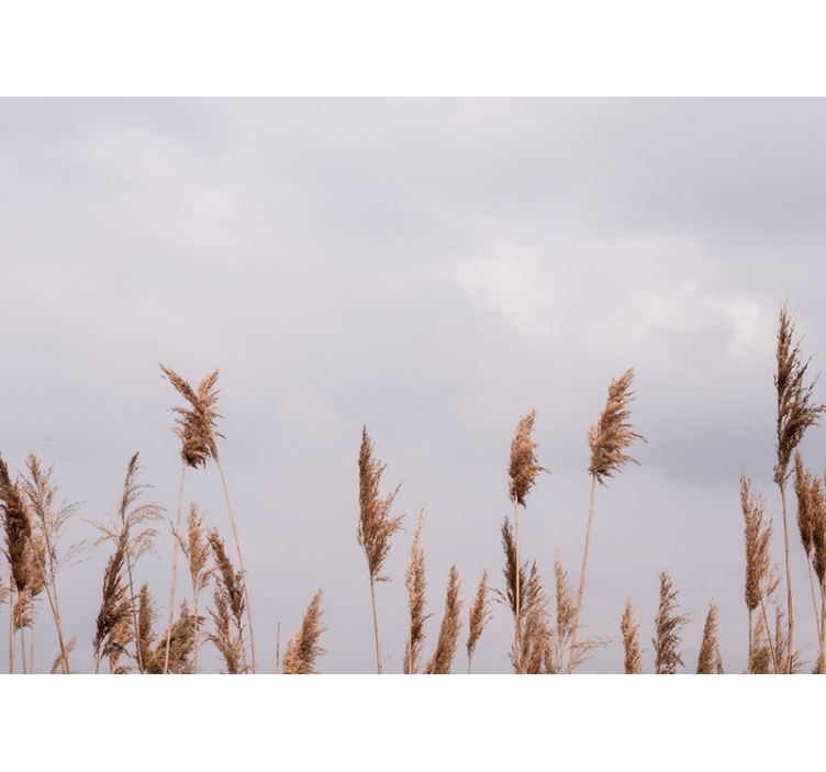 树木墙壁画与高草剪影相映成趣 - TenStickers