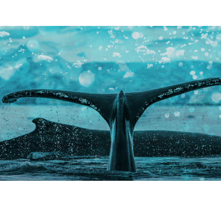 动物墙壁画鲸鱼尾鳍飞溅 - TenStickers