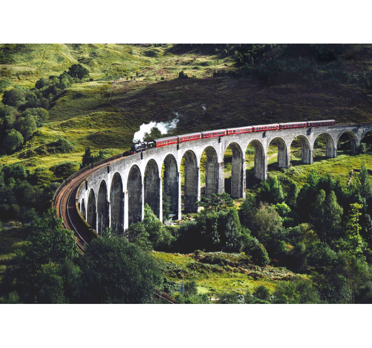 城市和乡村墙壁画：标志性铁路桥 - TenStickers