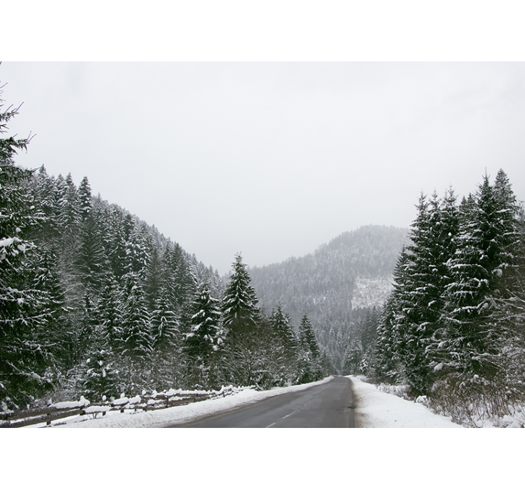 山墙壁画呈现冰雪山景 - TenStickers