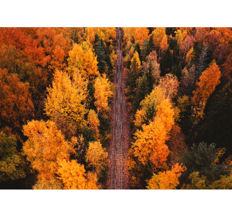 风景墙壁画秋季林间小径 - TenStickers