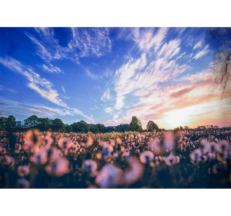 花墙壁画蒲公英田园的宁静 - TenStickers