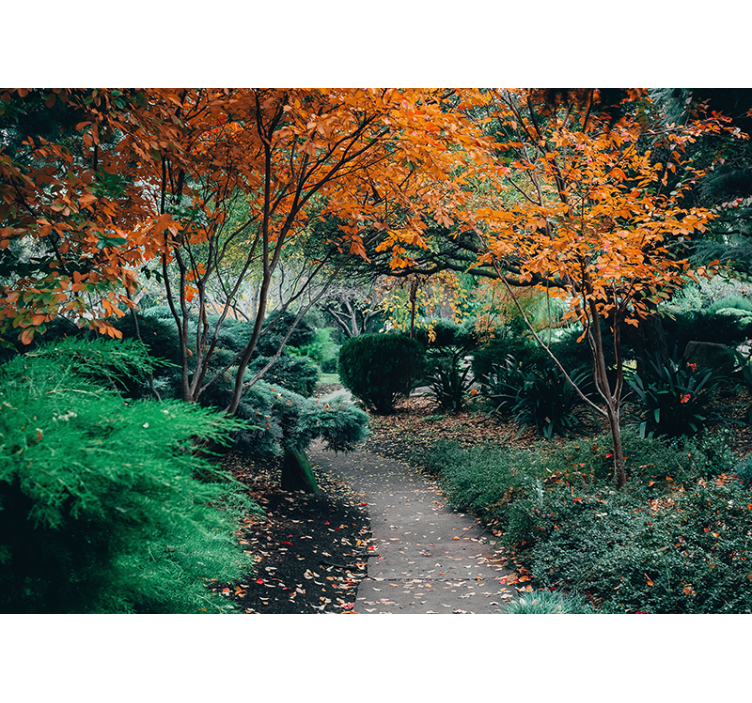 壁画质地树间小径 - TenStickers