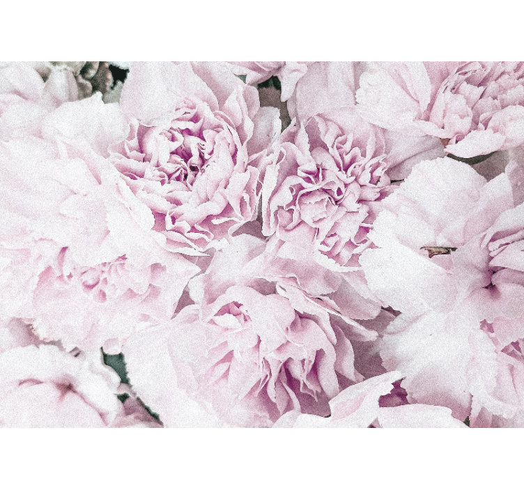 花墙壁画柔和粉色花朵 - TenStickers