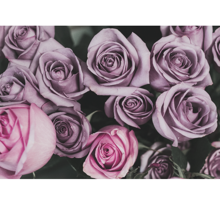 花墙壁画薰衣草玫瑰花束 - TenStickers