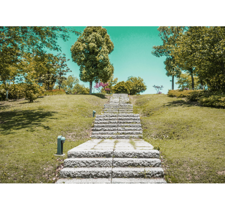 壁画质地自然之阶梯 - TenStickers