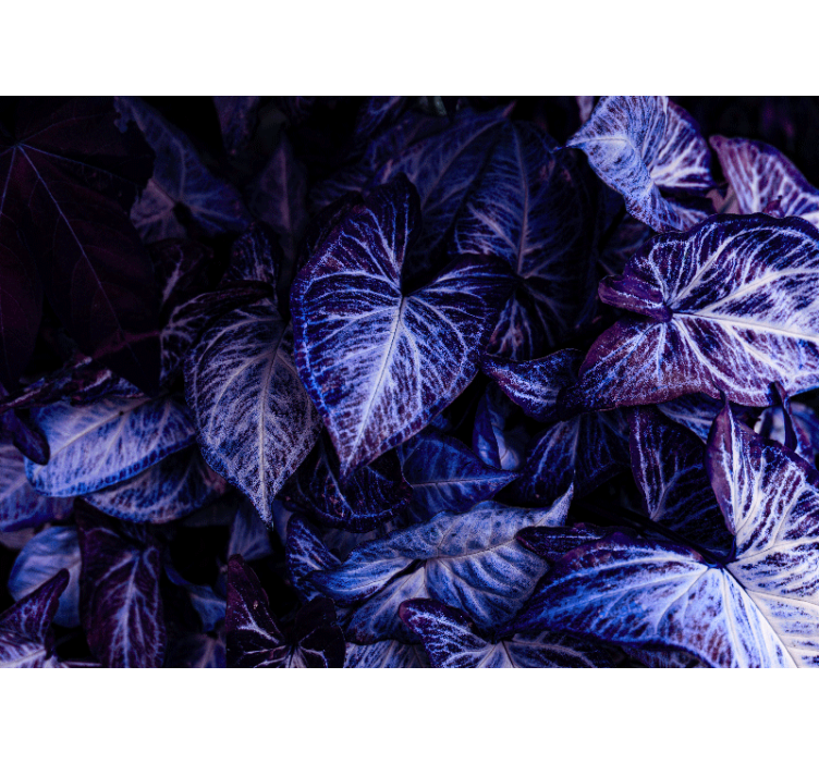 客厅的其他墙面壁画紫色叶子图案 - TenStickers