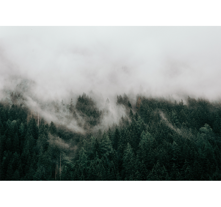 森林墙壁画雾霭森林风景 - TenStickers