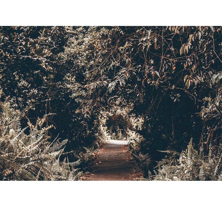 壁画质地森林小径路径 - TenStickers