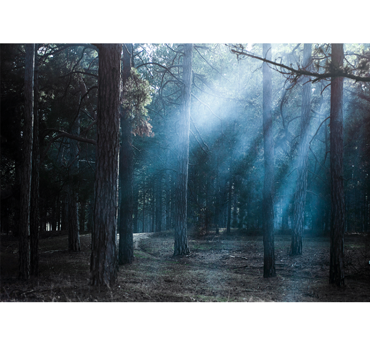 森林墙壁画带您走入雾霭迷雾小径 - TenStickers