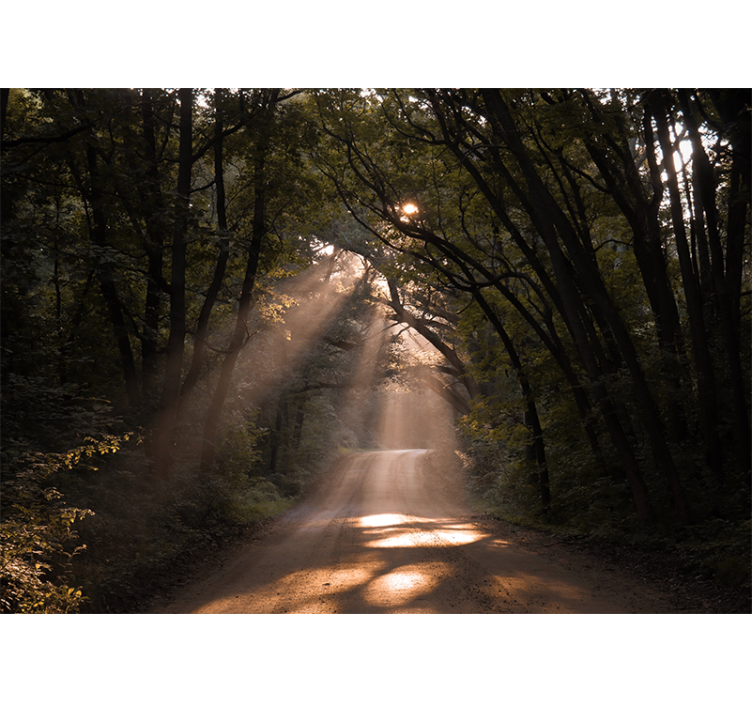 壁画质地展现光辉森林小径 - TenStickers