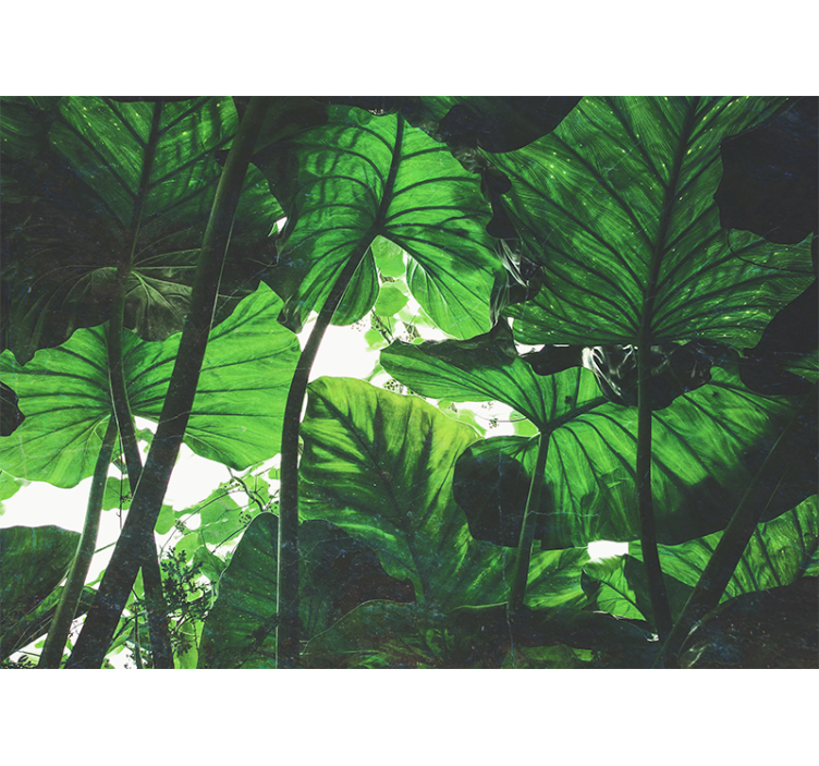 壁画质地为茂盛叶片天篷 - TenStickers