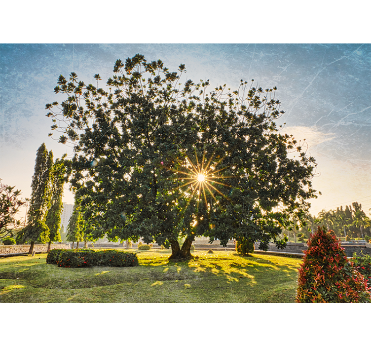 壁画质地阳光树景 - TenStickers