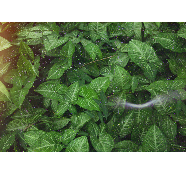 壁画质地生动叶子构图 - TenStickers