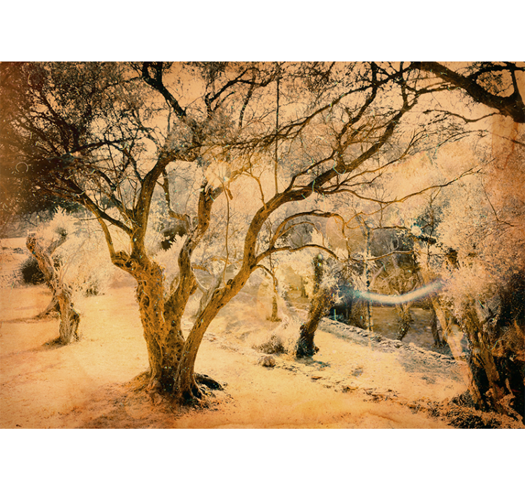 森林墙壁画黄金橄榄树 - TenStickers