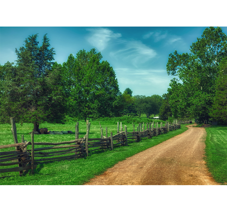 风景墙壁画生机盎然的绿色小径 - TenStickers