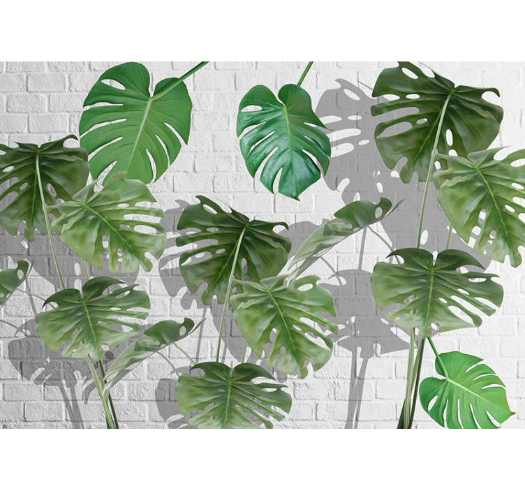 壁画质地适合的 monstera 叶子排列 - TenStickers