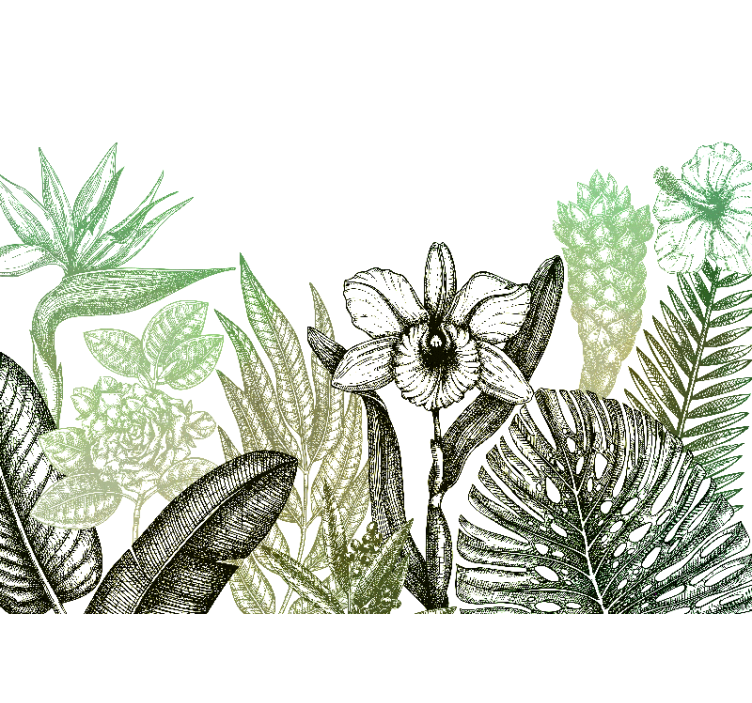 花墙壁画展现植物花卉设计 - TenStickers