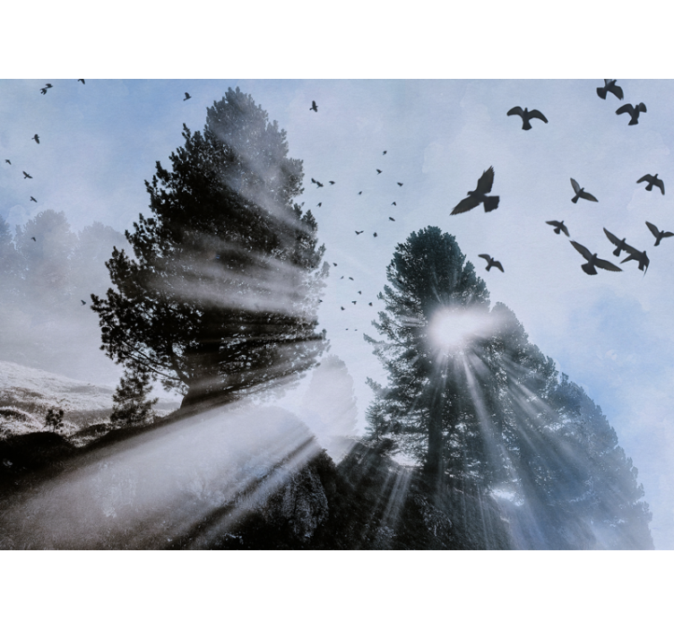 森林墙壁画散发光辉的森林阳光与鸟儿 - TenStickers