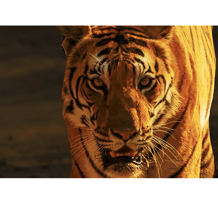 狮子壁画展现威严老虎的凝视 - TenStickers