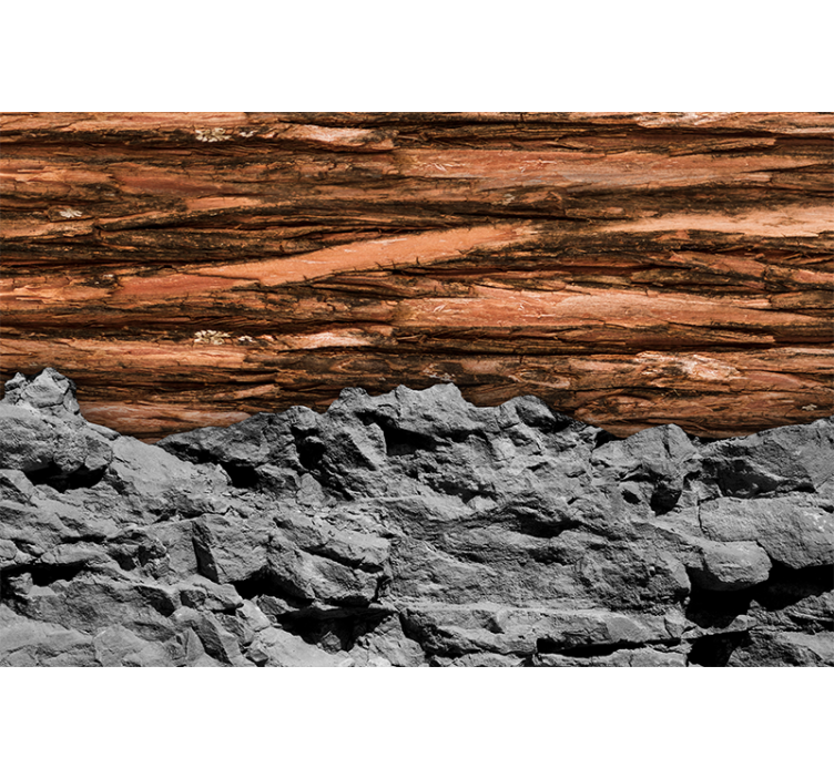 客厅的其他墙面壁画呈现自然质感层次 - TenStickers