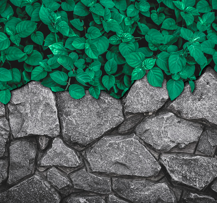 客厅的其他墙面壁画 树叶和石头树叶和石头。 - TenStickers